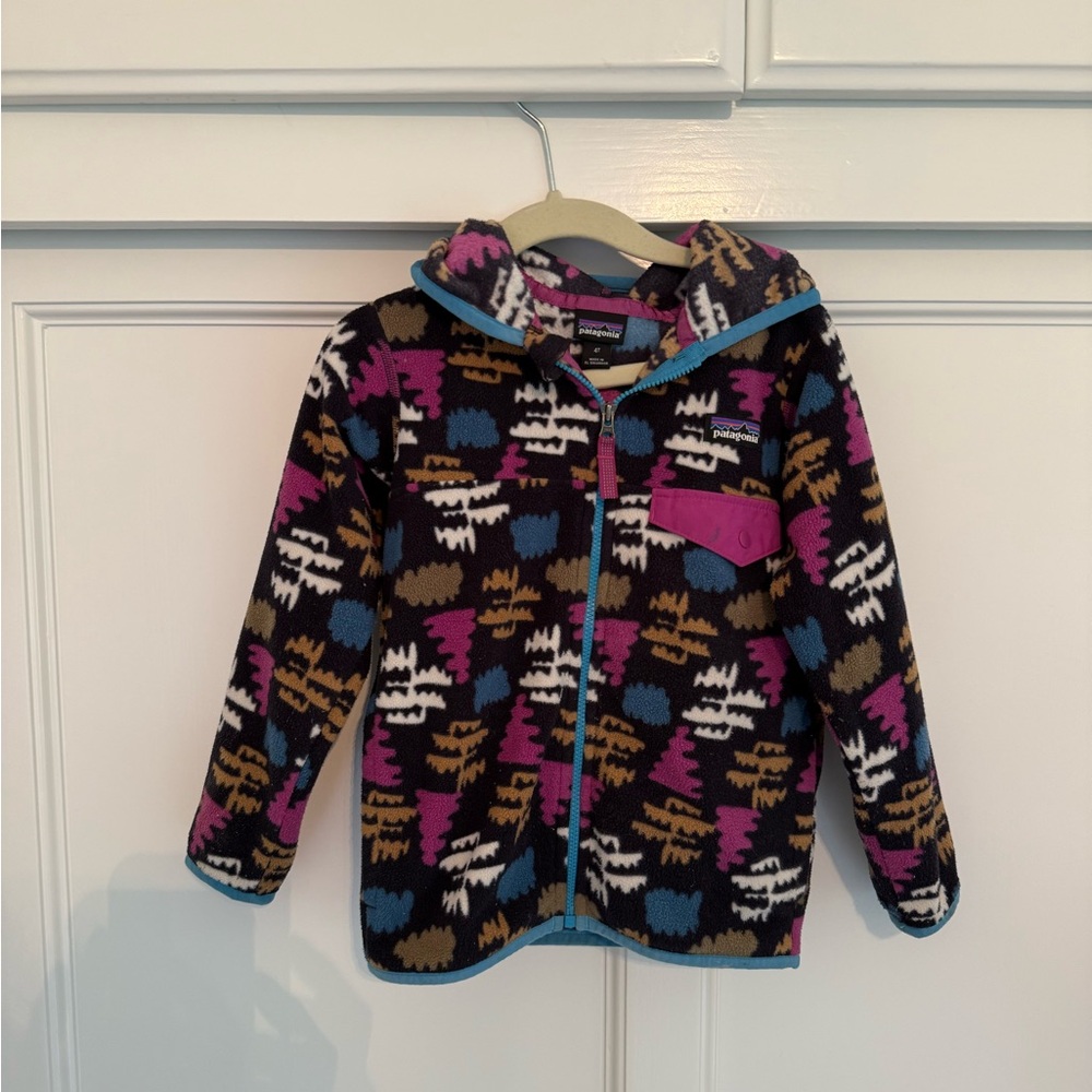 Patagonia Multicolor Fleece Jacket with Blue Accents
